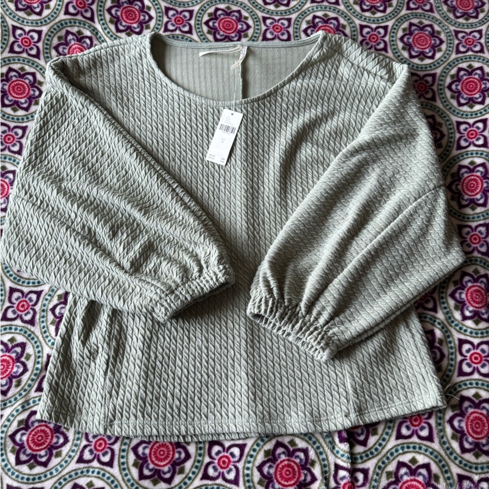 NWT Anthropologie Sage Green Longsleeve